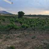  (For Sale) Land Plot || East Attica/Markopoulo Mesogaias - 12.500 Sq.m, 220.000€ Markopoulo Oropou 7514091 thumb4
