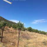  (For Sale) Land Plot || East Attica/Markopoulo Mesogaias - 4.050 Sq.m, 150.000€ Markopoulo Oropou 7514092 thumb4