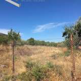  (For Sale) Land Plot || East Attica/Markopoulo Mesogaias - 4.050 Sq.m, 150.000€ Markopoulo Oropou 7514092 thumb3
