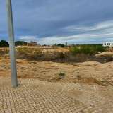   Alcantarilha e Pera (Central Algarve) 8214956 thumb4
