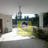  (For Rent) Residential Detached house || East Attica/Agios Stefanos - 1.000 Sq.m, 12 Bedrooms, 12.000€ Athens 8015466 thumb14