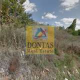 (For Sale) Land Plot || East Attica/Anoixi - 3.000 Sq.m, 480.000€ Athens 8115714 thumb5