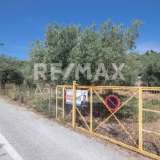  For Sale - (€ 0 / m2), Agricultural 19852 m2 Trikeri 7815864 thumb0