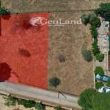  For Sale - (€ 0 / m2), Agricultural 299 m2 Kranidi 8116145 thumb8