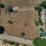  For Sale - (€ 0 / m2), Agricultural 299 m2 Kranidi 8116145 thumb7