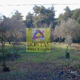  (For Sale) Land Plot || Athens North/Ekali - 10.600 Sq.m, 3.200.000€ Athens 8116563 thumb11