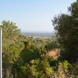   Loule (Centraal Algarve) 8016711 thumb1