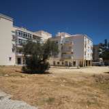   Loule (Centralny Algarve) 8016724 thumb3