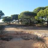   Loule (Centrální Algarve) 8016728 thumb1