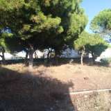   Loulé (Central Algarve) 8016731 thumb0