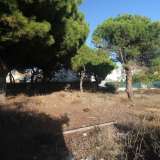  Loule (Sentral Algarve) 8016731 thumb1