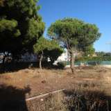   Loule (Centralny Algarve) 8016731 thumb2