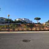   Loule (Centralny Algarve) 8016732 thumb2