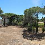   Loule (Centralny Algarve) 8016736 thumb4