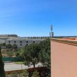   Loule (Central Algarve) 8016835 thumb7