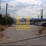  (For Sale) Commercial Industrial Area ||  West Attica/Aspropyrgos - 1.000 Sq.m, 800.000€ Aspropirgos 8016958 thumb2
