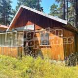  A one-story house in the middle of forest Perushtitsa city 7917030 thumb0