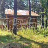  A one-story house in the middle of forest Perushtitsa city 7917030 thumb7