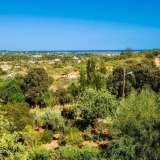   Moncarapacho (Wschód Algarve) 7917304 thumb14