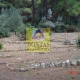  (For Sale) Land Plot || Athens North/Ekali - 3.000 Sq.m, 2.500.000€ Athens 7817390 thumb1