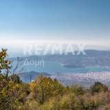  For Sale - (€ 0 / m2), Agricultural 6075 m2 Portaria 7417476 thumb5