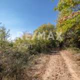  For Sale - (€ 0 / m2), Agricultural 6075 m2 Portaria 7417476 thumb6