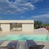  ISTRIA, LABIN - Modernly designed one-story house with a swimming pool on the edge of the village Labin 8217539 thumb3
