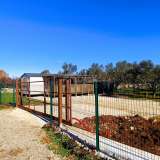  ISTRIA, FAŽANA Land with a mobile home, electricity, water - 700 m FROM THE SEA!! Fazana 8117555 thumb8