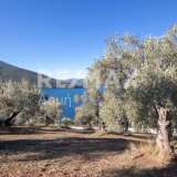  For Sale - (€ 0 / m2), Agricultural 12000 m2 Sipiada 7617681 thumb8