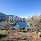  For Sale - (€ 0 / m2), Agricultural 12000 m2 Sipiada 7617681 thumb7
