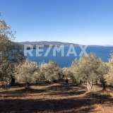  For Sale - (€ 0 / m2), Agricultural 12000 m2 Sipiada 7617681 thumb6