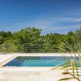  ISTRIA, POREČ (surroundings) - Enchanting Villa with swimming pool in a quiet place Porec 8117700 thumb18