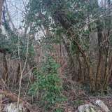  ISTRIA, LABIN - Oak forest for felling, 17,992m2 OPPORTUNITY Labin 8117712 thumb1