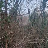  ISTRIA, LABIN - Oak forest for felling, 17,992m2 OPPORTUNITY Labin 8117712 thumb2