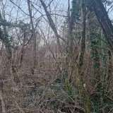  ISTRIA, LABIN - Oak forest for felling, 17,992m2 OPPORTUNITY Labin 8117712 thumb5