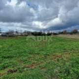  ISTRIA, BRTONIGLA - Terreno edificabile per investimento, vista su Verteneglio Verteneglio 8117906 thumb4