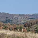  ISTRIA, BUJE - Semi-detached house with pool, new construction, view of nature Buje 8117908 thumb2