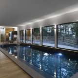  GORSKI KOTAR, RAVNA GORA - Modern A-FRAME villa with swimming pool Ravna Gora 8117924 thumb1