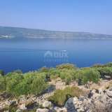  CRES ISLAND - Olive grove, first row by the sea Cres island 8117962 thumb10