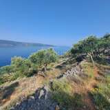  CRES ISLAND - Olive grove, first row by the sea Cres island 8117962 thumb1