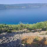  CRES ISLAND - Olive grove, first row by the sea Cres island 8117962 thumb8