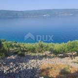  CRES ISLAND - Olive grove, first row by the sea Cres island 8117962 thumb5