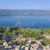  CRES ISLAND - Olive grove, first row by the sea Cres island 8117962 thumb7