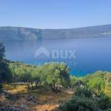  CRES ISLAND - Olive grove, first row by the sea Cres island 8117962 thumb0