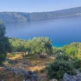  CRES ISLAND - Olive grove, first row by the sea Cres island 8117962 thumb4