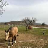  OTOČAC, SKARE - A beautiful property with a horse ranch Otočac 8117988 thumb41