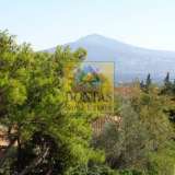  (For Sale) Residential Detached house || East Attica/Thrakomakedones - 600 Sq.m, 5 Bedrooms, 800.000€ Athens 7417991 thumb3