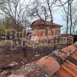  House with a large garden in the Danube plain Petokladentsi village 8018184 thumb12