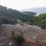  Landwirtschaftliches Grundstück auf der Insel Korcula 100 m vom Meer entfernt Korčula 8018195 thumb3