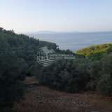  Landwirtschaftliches Grundstück auf der Insel Korcula 100 m vom Meer entfernt Korčula 8018195 thumb2